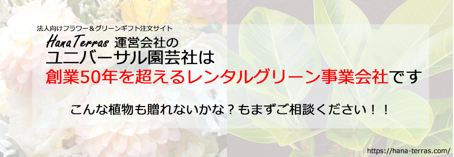 ユニバーサル園芸社 ハナテラス 運営 観葉植物 法人 ギフト