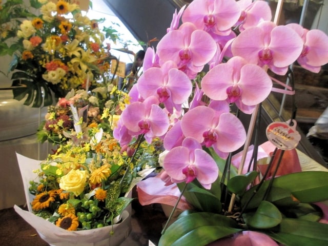 胡蝶蘭をはじめアレンジメントされたお花