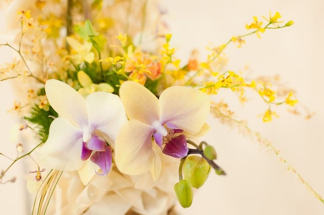 贈り先のイメージに合わせたお花