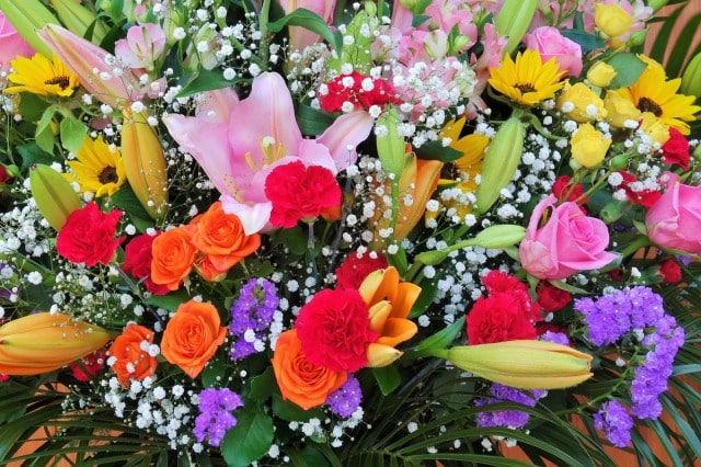 移転祝いのお花